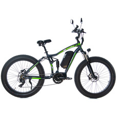 E-motions Cougar Torque E-motions Cougar Torque