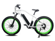 Электрофэтбайк El-sport bike TDE-08 500W