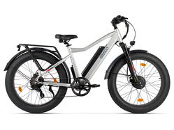 Eltreco BigCat Dual Next PRO (серебристый матовый)