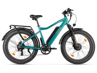Электрофэтбайк Eltreco BigCat Dual Next PRO (зеленый матовый)