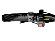 Электрофэтбайк Eltreco BigCat Dual Next (зеленый матовый)