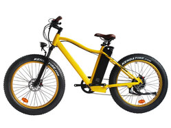 El-sport bike TDE-03 350W El-sport bike TDE-03 350W