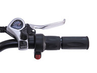 Электровелосипед Wellness CROSS RACK 750W