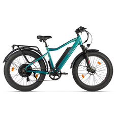 Eltreco BigCat Next (зеленый матовый) Eltreco BigCat Next (зеленый матовый)