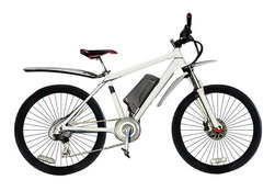 E-motions Snow Leopard