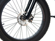 Электрофэтбайк E-motions Cougar Torque
