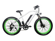 Электрофэтбайк El-sport bike TDE-08 500W